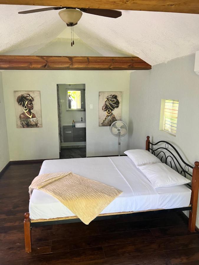 Jamaica Colors Hotel And Eco-Retreat Port Antonio Luaran gambar