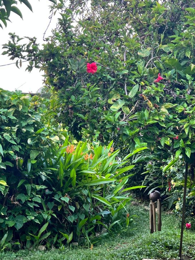 Jamaica Colors Hotel And Eco-Retreat Port Antonio Luaran gambar
