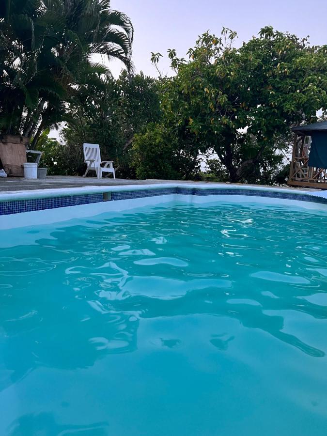 Jamaica Colors Hotel And Eco-Retreat Port Antonio Luaran gambar