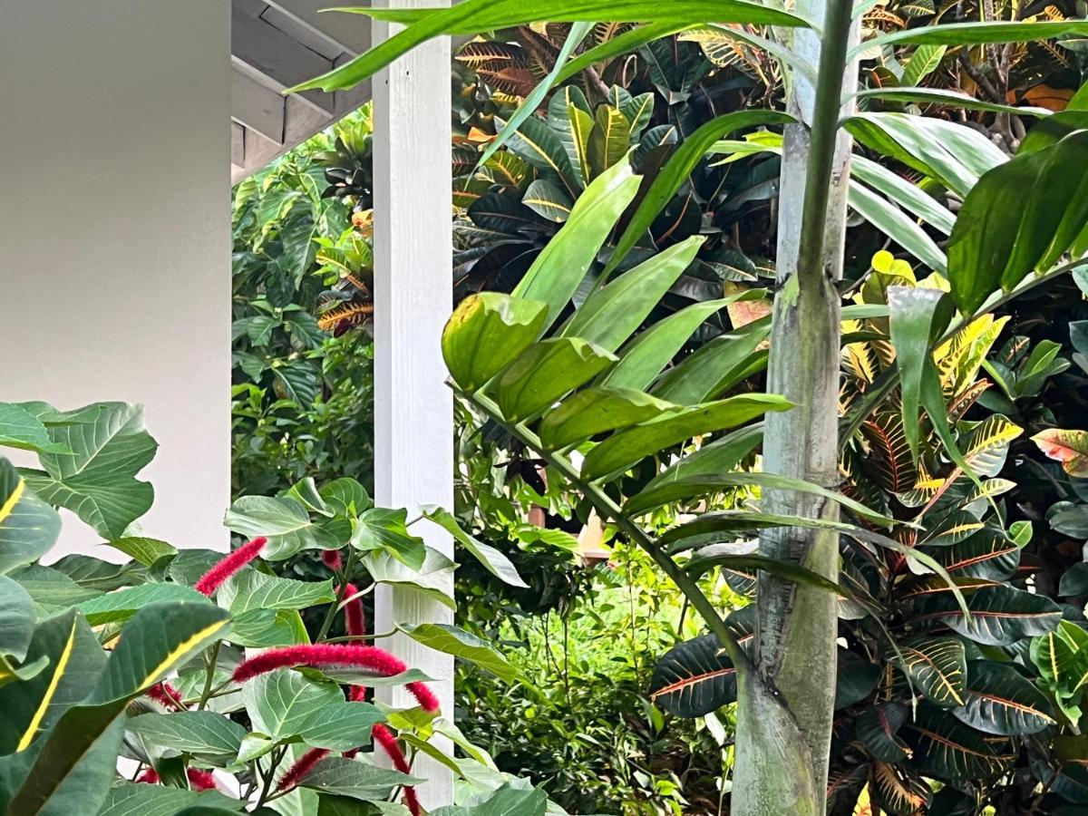 Jamaica Colors Hotel And Eco-Retreat Port Antonio Luaran gambar