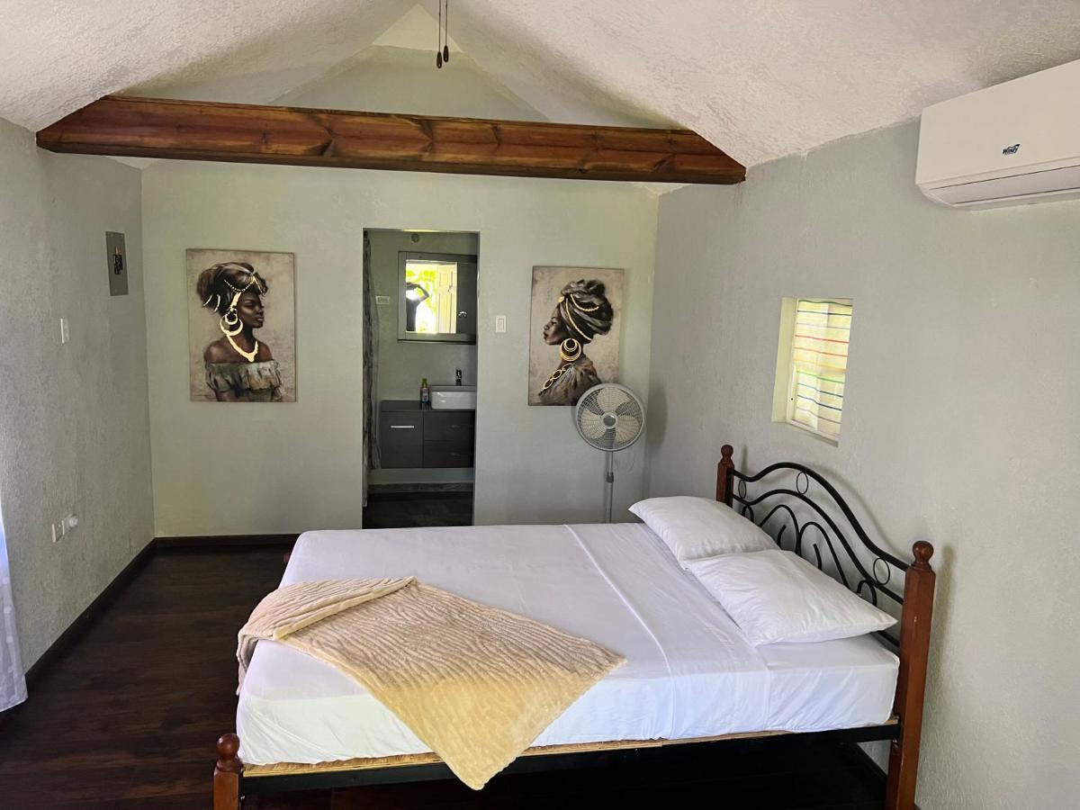 Jamaica Colors Hotel And Eco-Retreat Port Antonio Luaran gambar