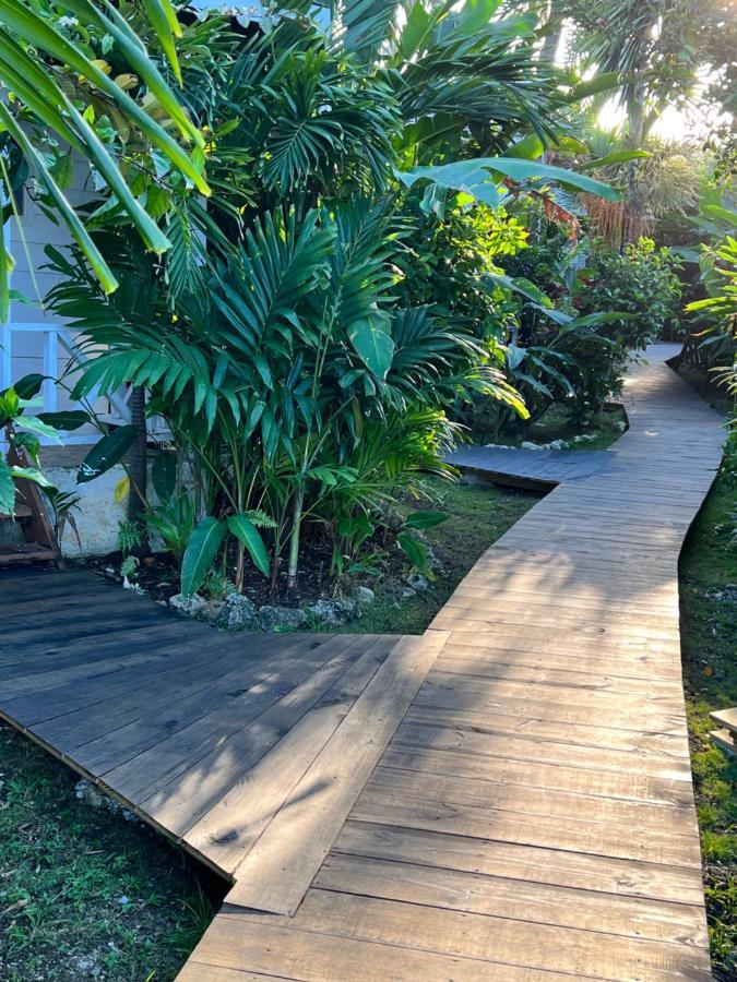 Jamaica Colors Hotel And Eco-Retreat Port Antonio Luaran gambar