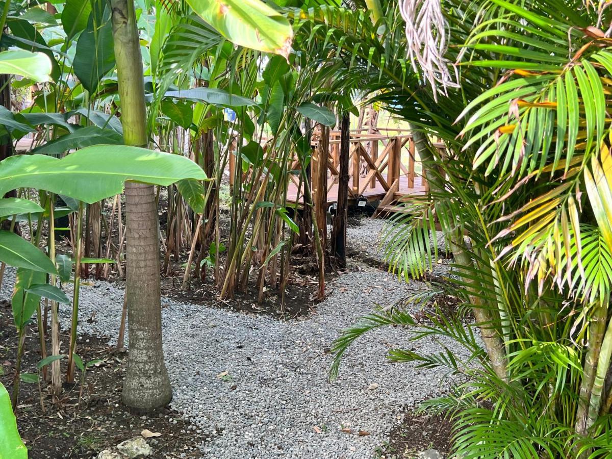 Jamaica Colors Hotel And Eco-Retreat Port Antonio Luaran gambar