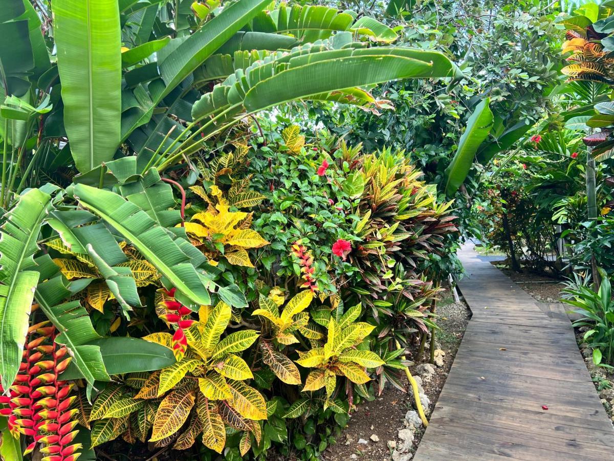 Jamaica Colors Hotel And Eco-Retreat Port Antonio Luaran gambar