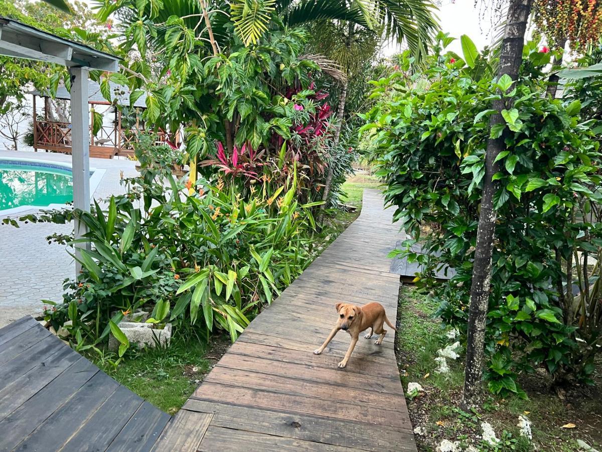 Jamaica Colors Hotel And Eco-Retreat Port Antonio Luaran gambar