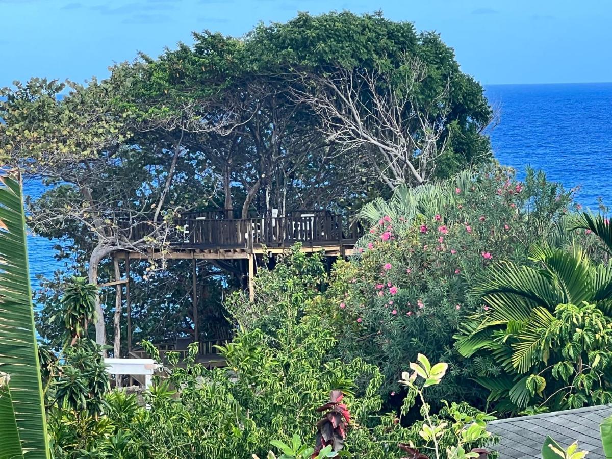 Jamaica Colors Hotel And Eco-Retreat Port Antonio Luaran gambar
