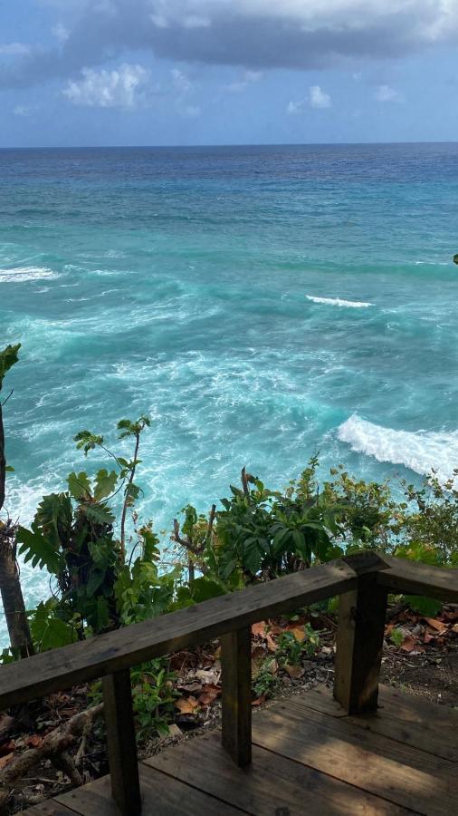 Jamaica Colors Hotel And Eco-Retreat Port Antonio Luaran gambar
