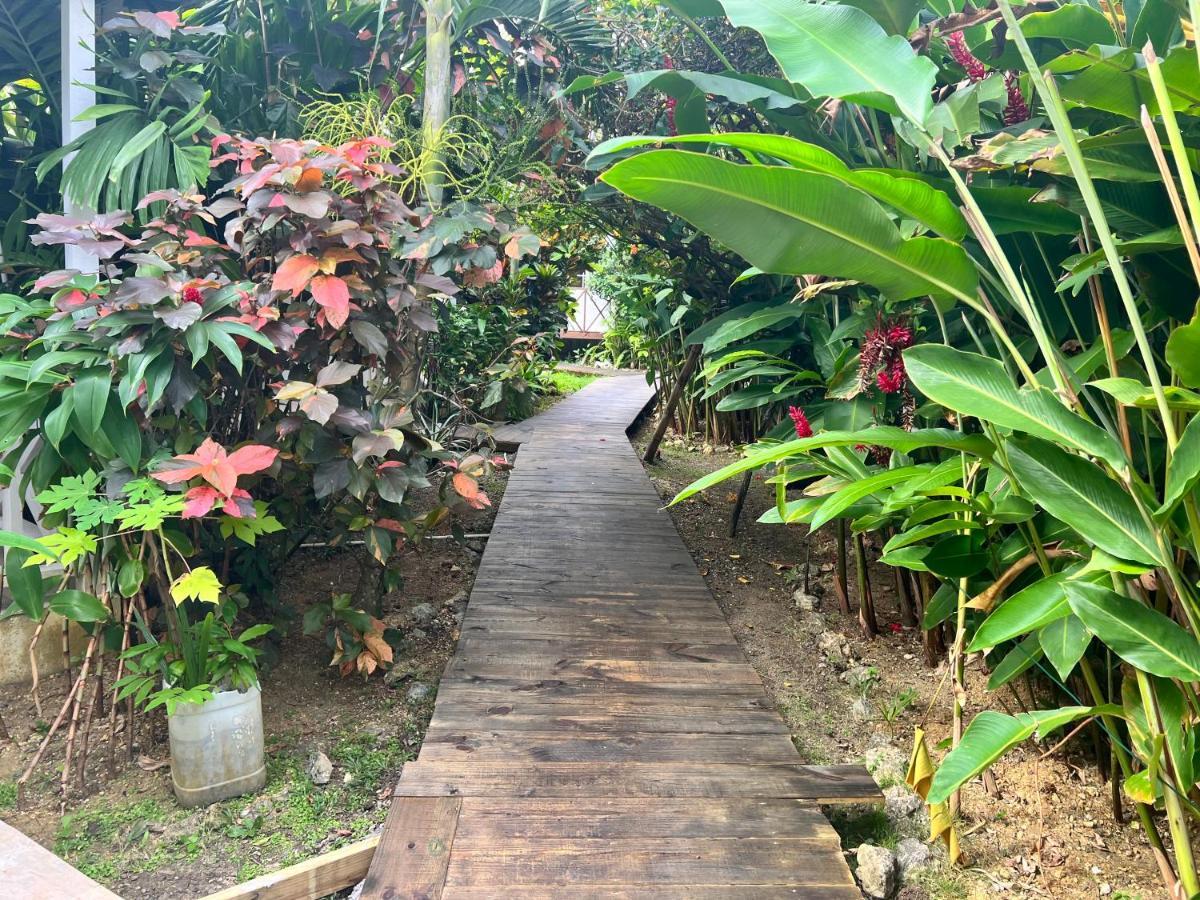Jamaica Colors Hotel And Eco-Retreat Port Antonio Luaran gambar