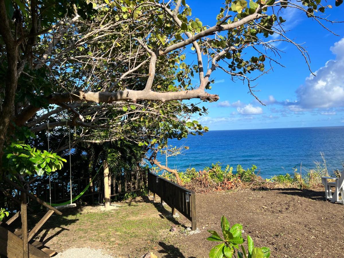 Jamaica Colors Hotel And Eco-Retreat Port Antonio Luaran gambar