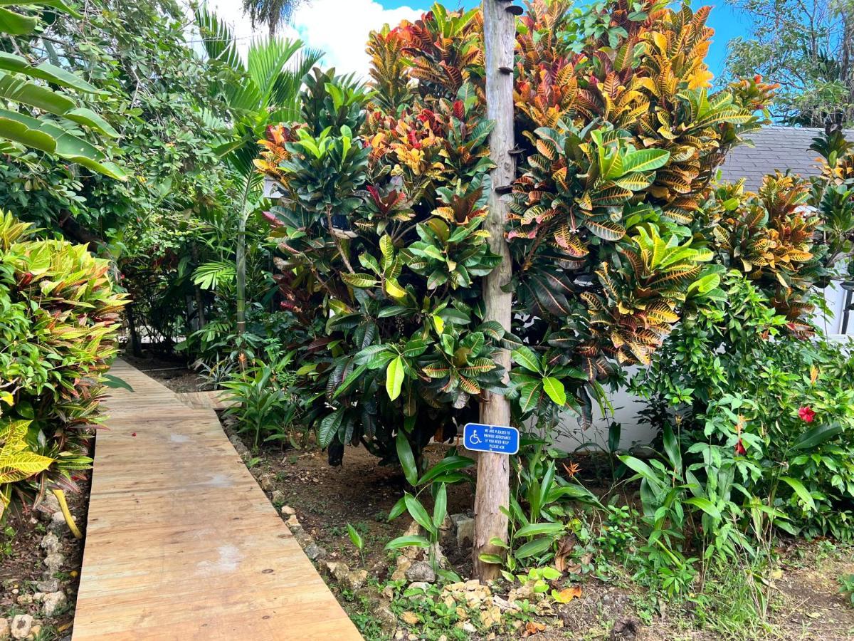 Jamaica Colors Hotel And Eco-Retreat Port Antonio Luaran gambar